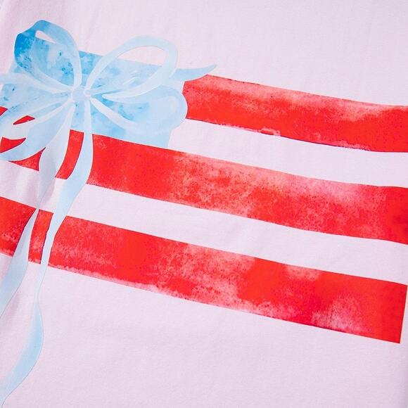 Light Pink With Blue Bow Flag Graphic Crewneck Top New S M L XL - Picture 4 of 13